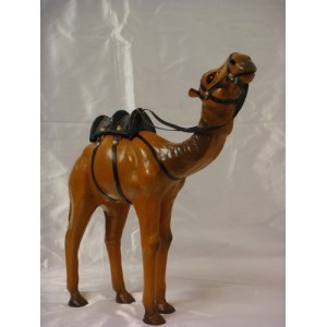 Camelo couro 12-4