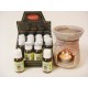 Oleo perfumado Aarti Eucalipto 15ml (pack 12)